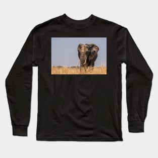 Self decorated Elephant Long Sleeve T-Shirt